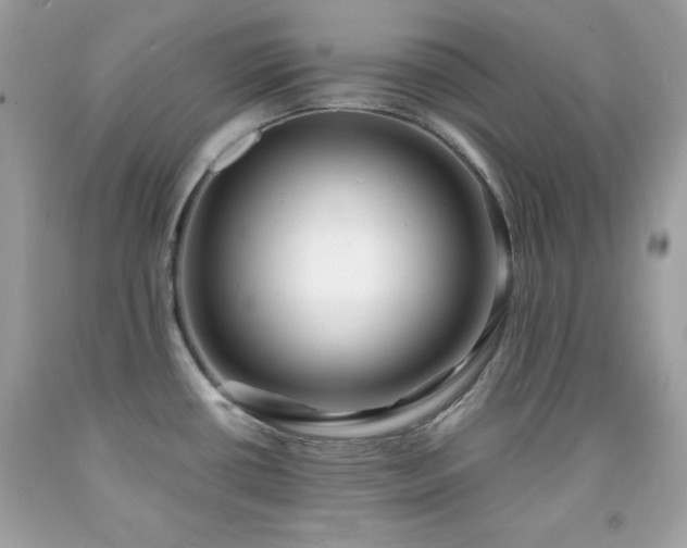 X0000091921434200709121530