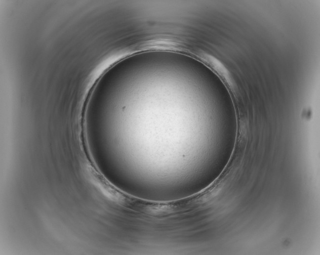 X0000091921435200709121530