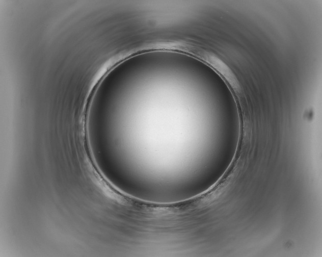X0000091921436200709121530