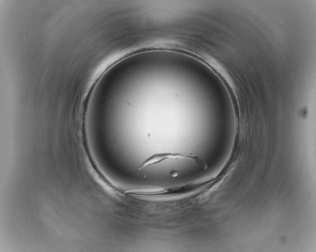 X0000091921437200709121530