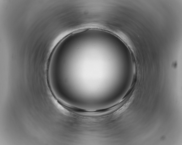 X0000091921438200709121530