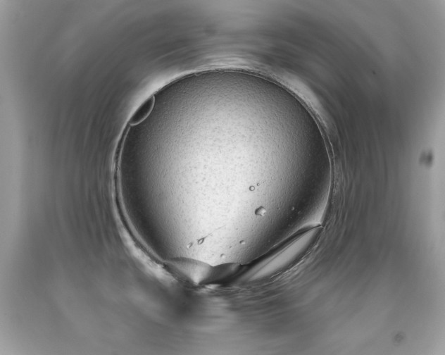 X0000091921439200709121530