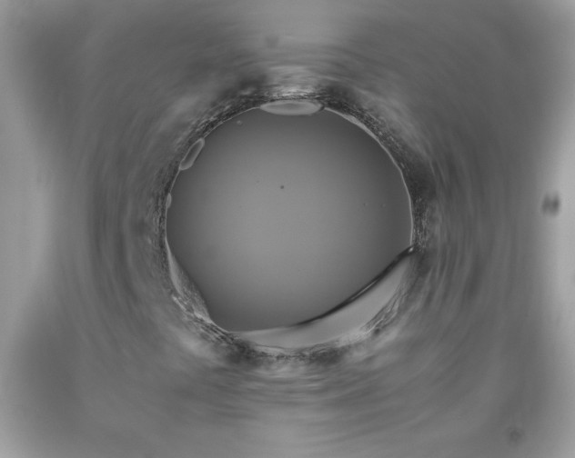 X0000091921441200709121529