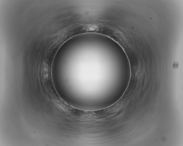 X0000091921442200709121529