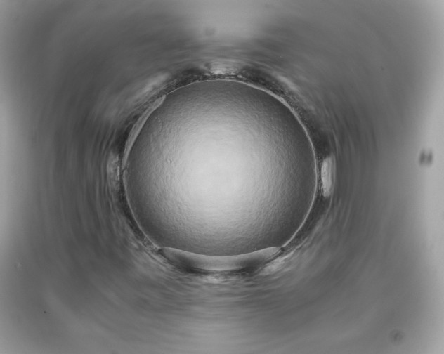 X0000091921443200709121529