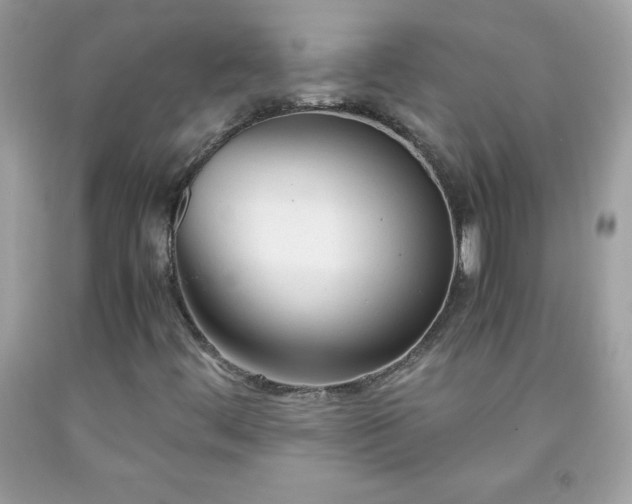 X0000091921444200709121529