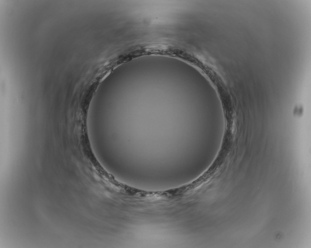 X0000091921445200709121529
