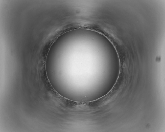 X0000091921447200709121529