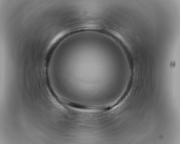 X0000091921450200709121529