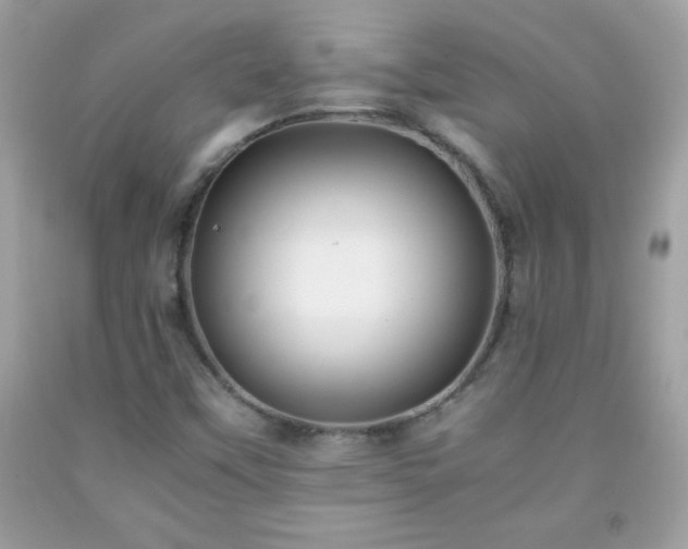 X0000091921451200709121529