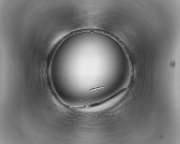 X0000091921452200709121529
