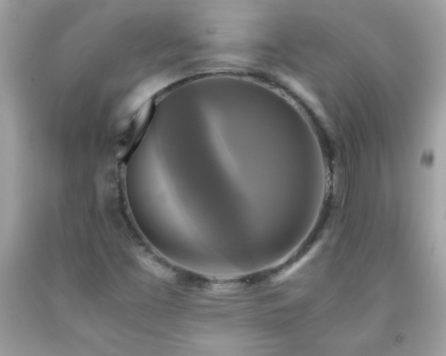 X0000091921453200709121529