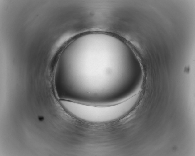 X0000091921454200709121529