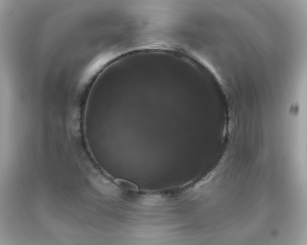X0000091921455200709121529