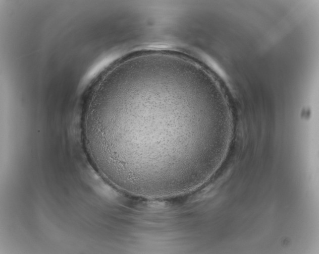 X0000091921456200709121529
