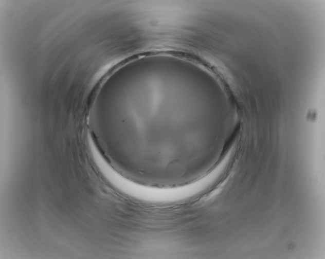 X0000091921457200709121529