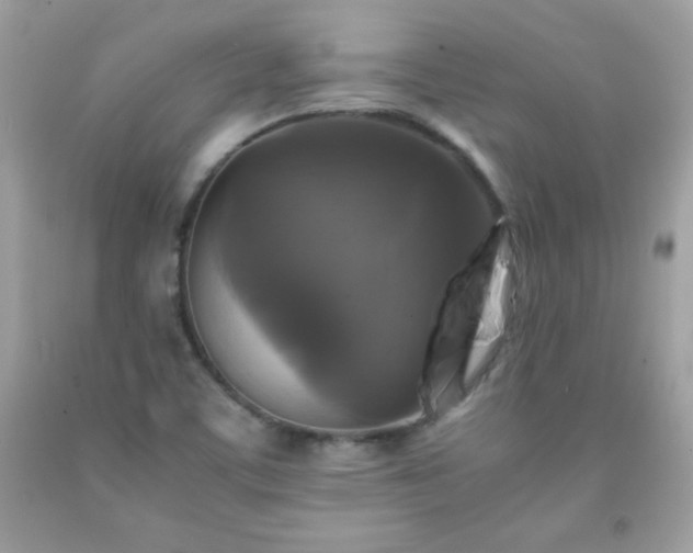 X0000091921459200709121529