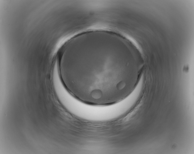 X0000091921461200709121529