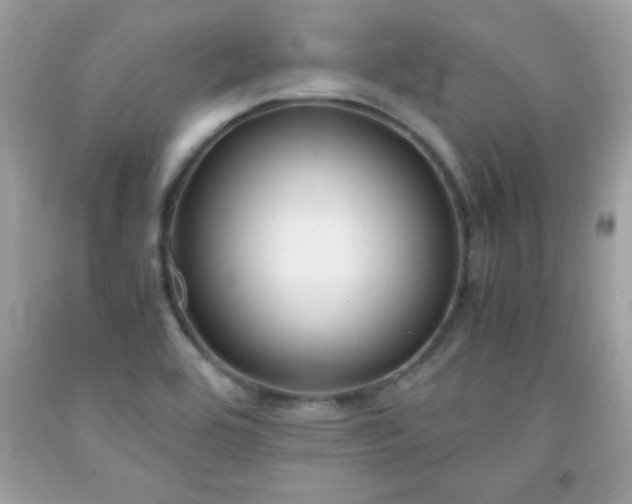 X0000091921464200709121529