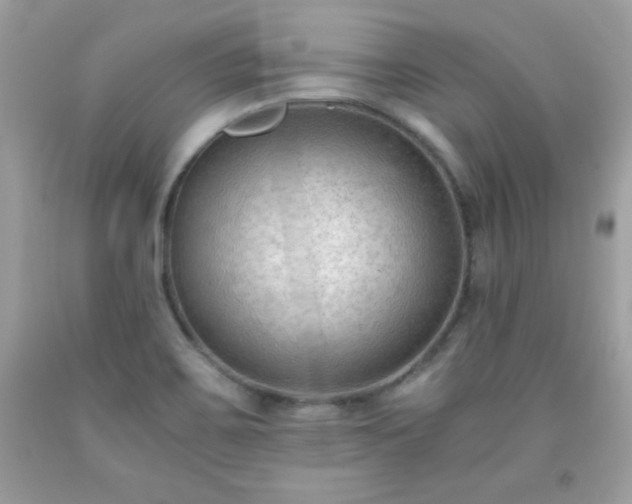 X0000091921467200709121529