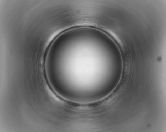 X0000091921468200709121529