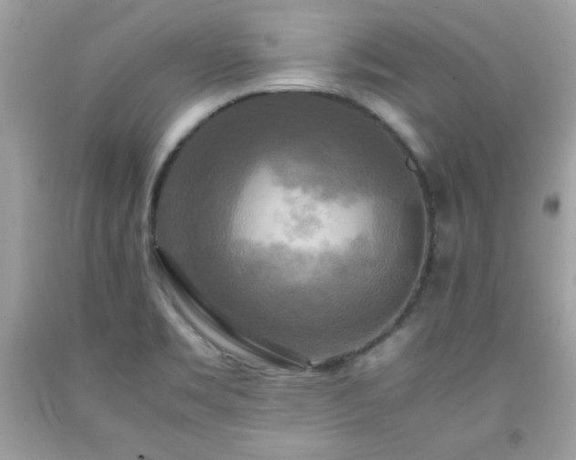 X0000091921469200709121529