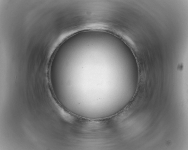 X0000091921470200709121528