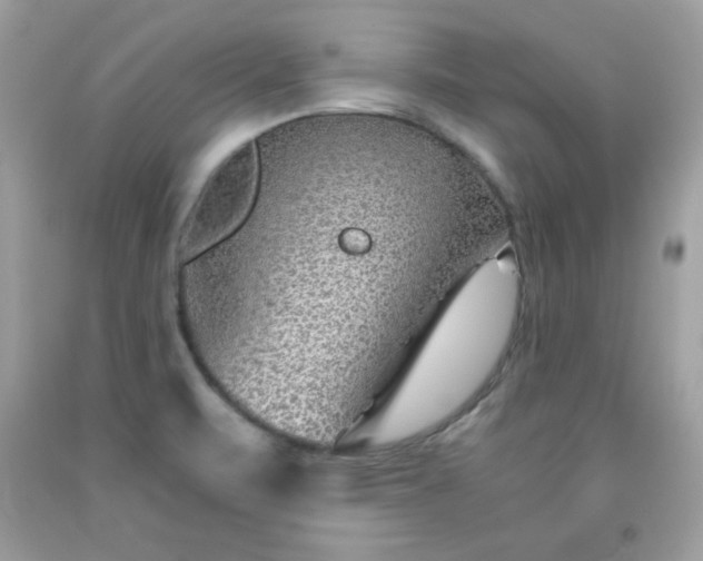 X0000091921471200709121528