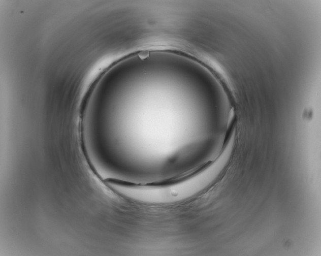 X0000091921472200709121528