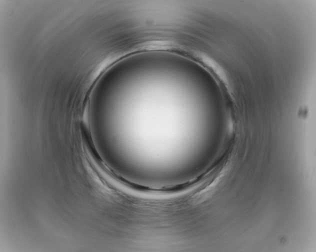 X0000091921473200709121528