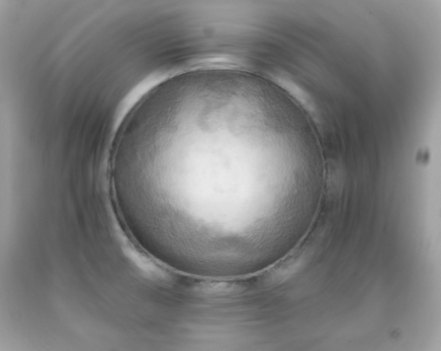 X0000091921474200709121528