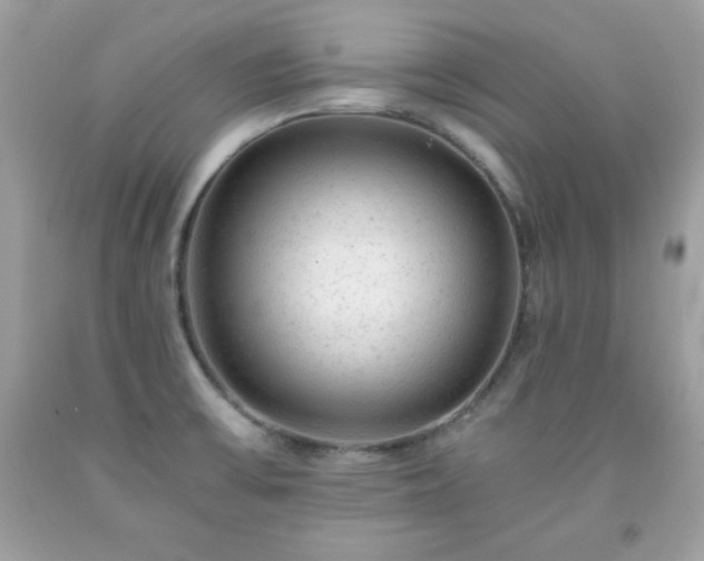 X0000091921475200709121528