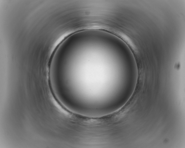 X0000091921476200709121528