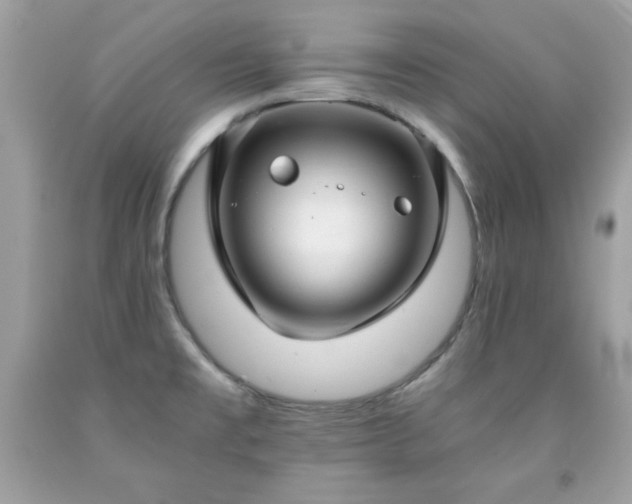 X0000091921477200709121528