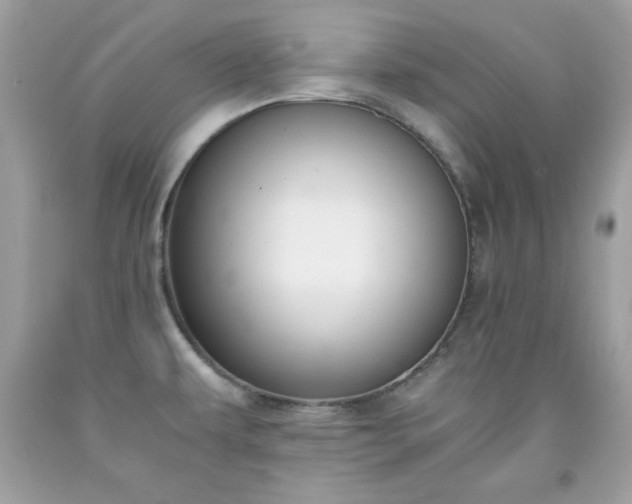 X0000091921479200709121528