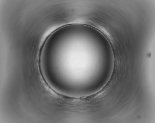 X0000091921480200709121528