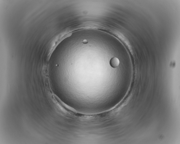 X0000091921481200709121528