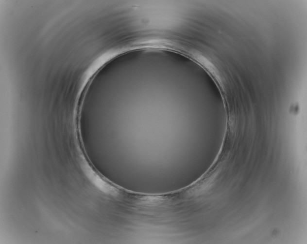 X0000091921482200709121528