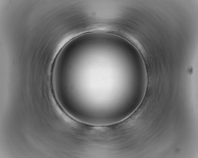 X0000091921483200709121528