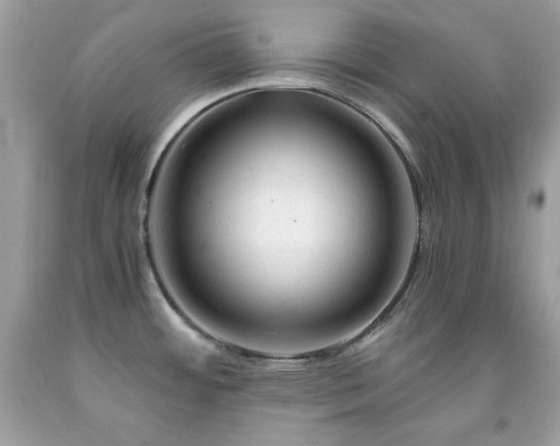 X0000091921484200709121528