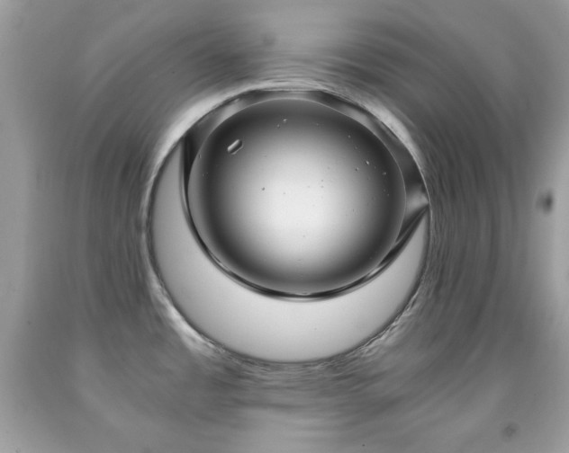 X0000091921485200709121528