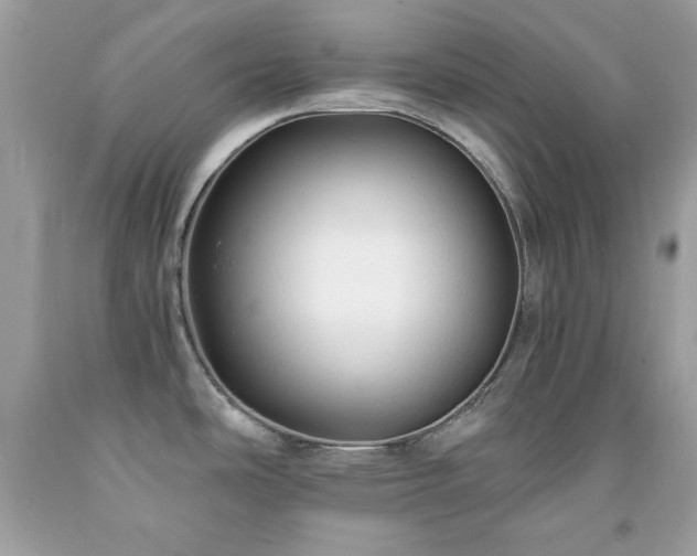 X0000091921486200709121528