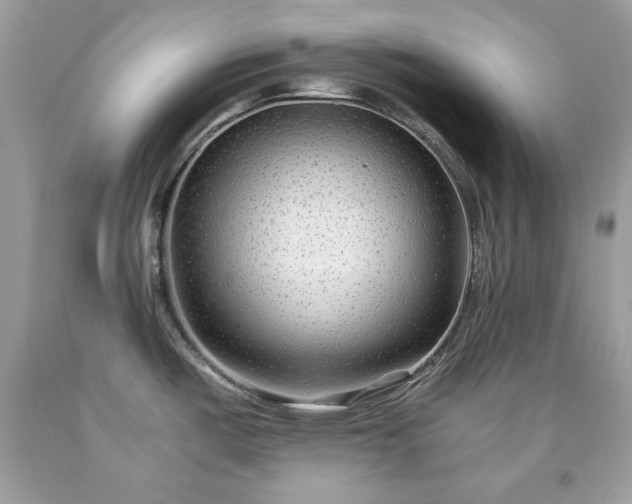 X0000091921487200709121528