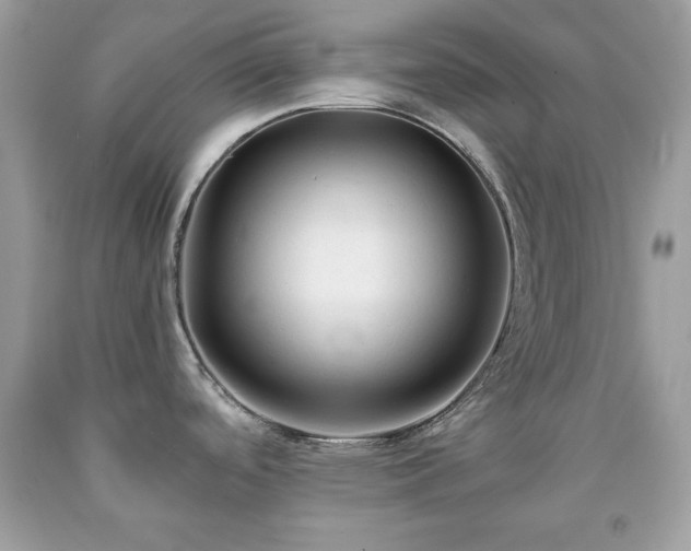 X0000091921488200709121528