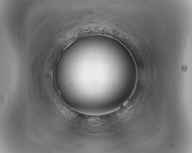 X0000091921489200709121528