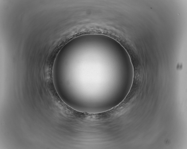 X0000091921490200709121528
