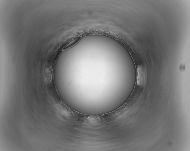 X0000091921491200709121528