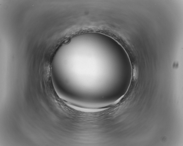 X0000091921492200709121528