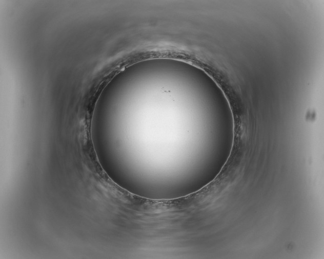 X0000091921493200709121528