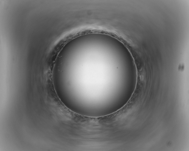X0000091921495200709121528